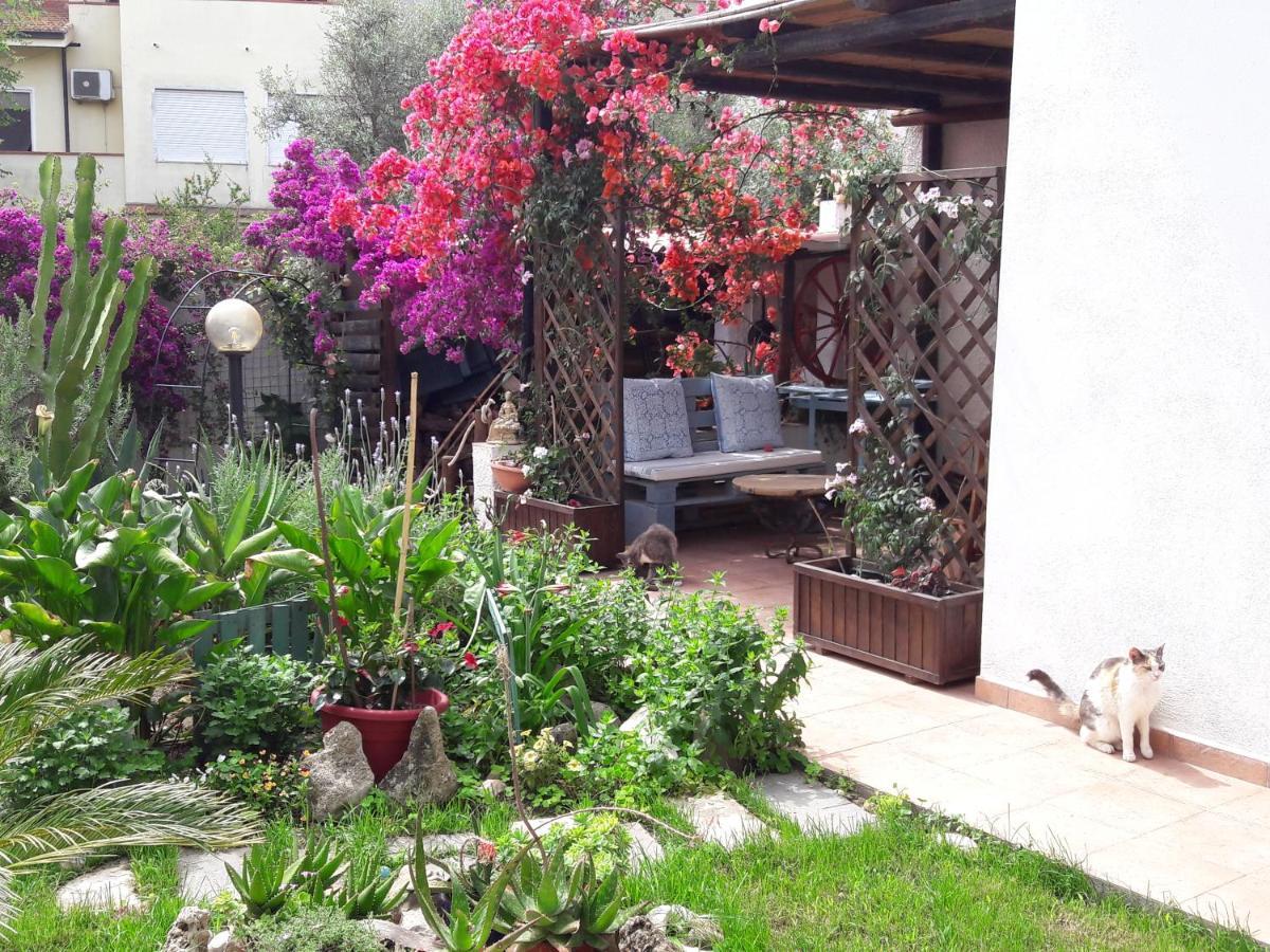 Bed and Breakfast Angolo Verde Oristano Exterior foto